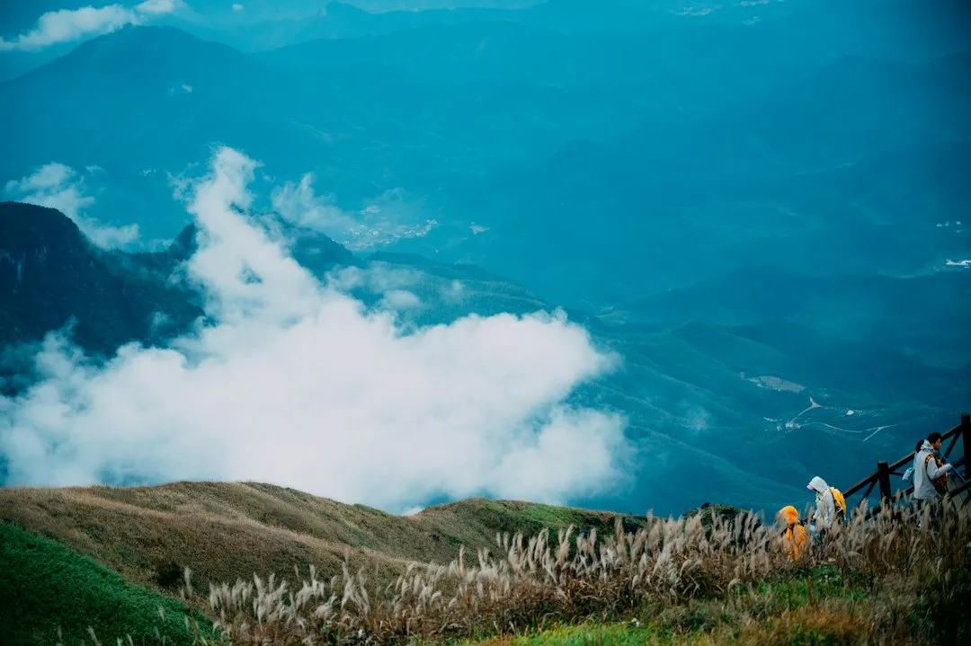 光伏组件选型指南:单晶与多晶在西南山地的适用性对比正文配图 1